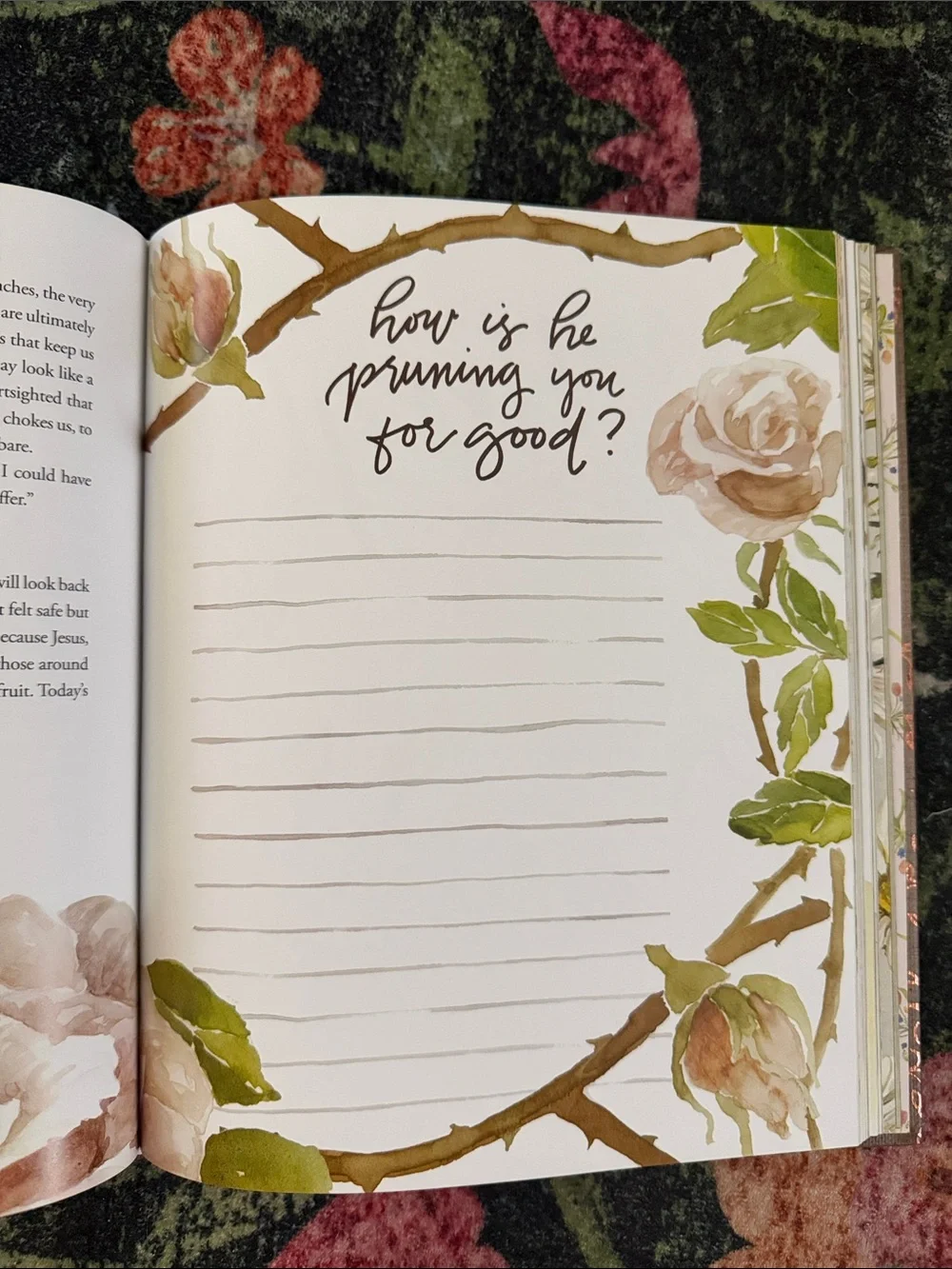 Gracelaced Devotional Christian By Ruth Chou Simons